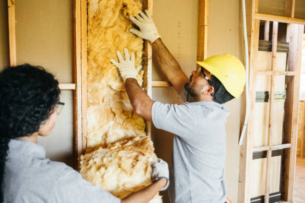 Best Attic Insulation Installation  in Remsenburg Speonk, NY